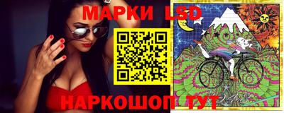 стаф Гусев