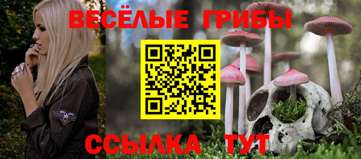 Галлюциногенные грибы Psilocybe  Вход с VPN  Псилоцибиновые грибы мухоморы  Крымск 