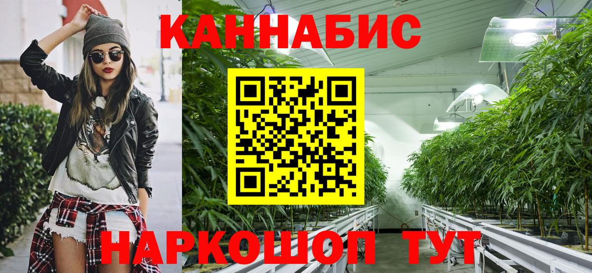 Каннабис OG Kush Крымск